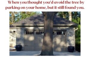 Garage Door Fails: Funny Photos That Will Make You Grateful for Professionals
